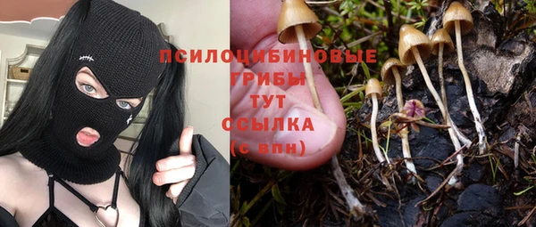 мяу мяу мука Алексин
