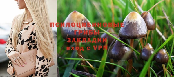 ПСИЛОЦИБИНОВЫЕ ГРИБЫ Алзамай