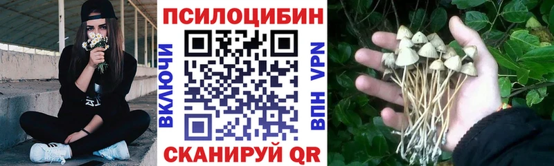 купить  цена  нарко площадка какой сайт  Галлюциногенные грибы MAGIC MUSHROOMS  Нижние Серги 